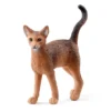Abyssinian Kat