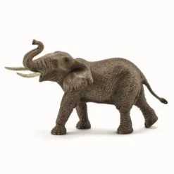 Afrikansk Elefant Han