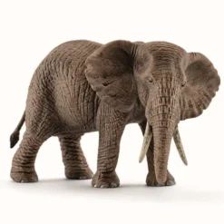 Afrikansk Elefant Hun