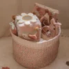 Aktivitetsterning i Fairy Garden