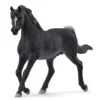 Araberhingst
