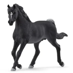 Araberhingst
