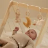 Babygym Newborn