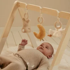 Babygym Newborn