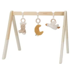 Babygym Newborn