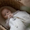 Baby Sengetøj World Of Sebra