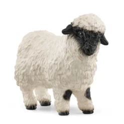 Blacknose Får