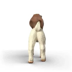 Boer Gedekid