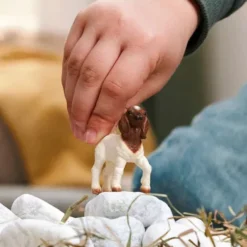Boer Gedekid