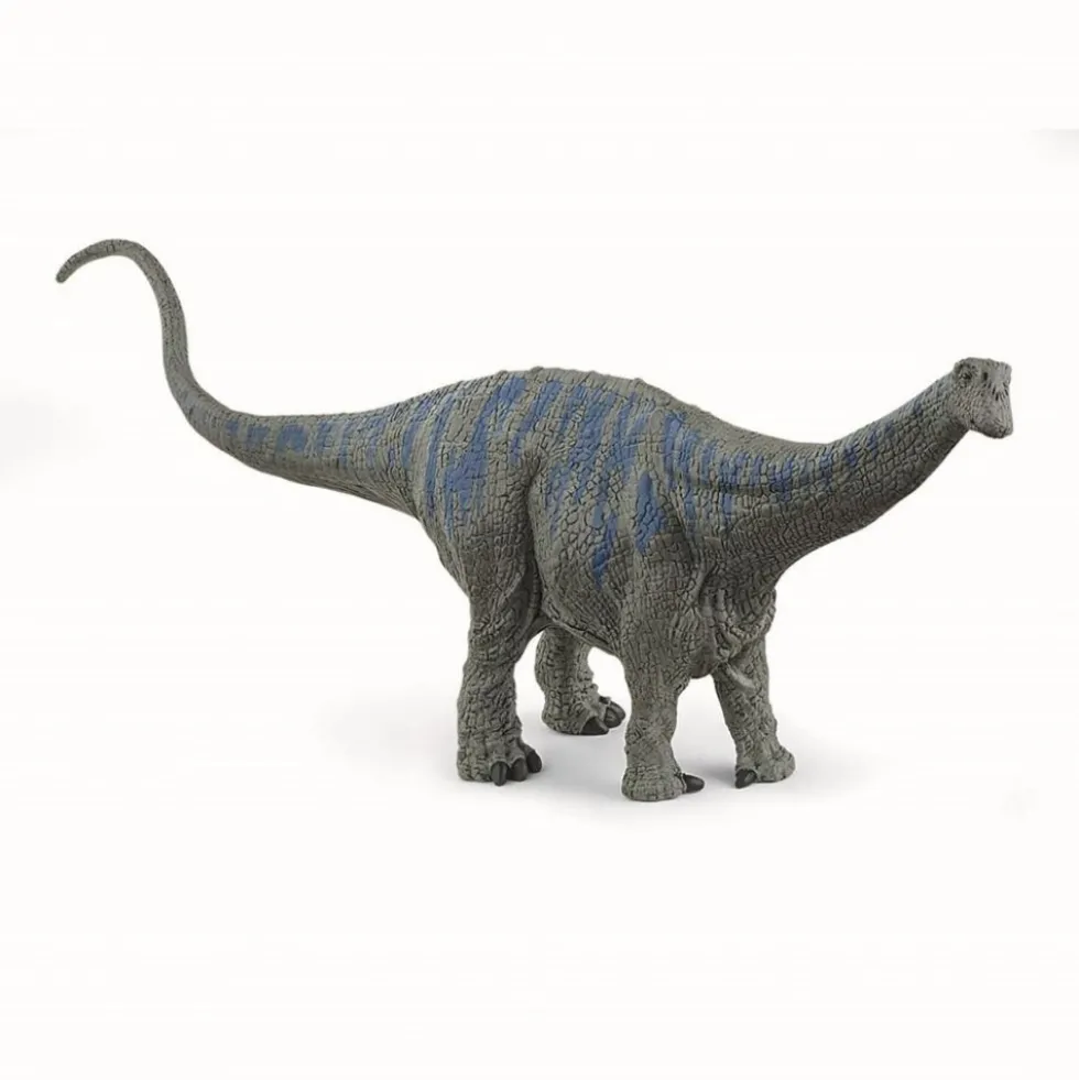 Brontosaurus