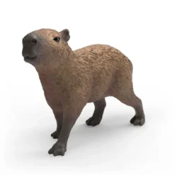 Capybara