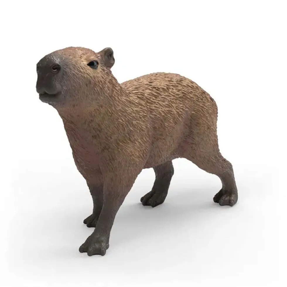 Capybara