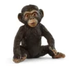 Chimpanse Unge