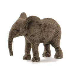 Dyr Afrikansk Elefant Unge