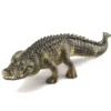 Dyr Alligator