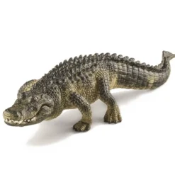Dyr Alligator