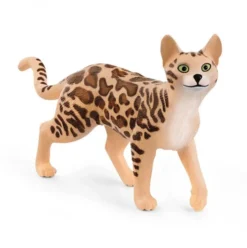 Dyr Bengalsk Kat