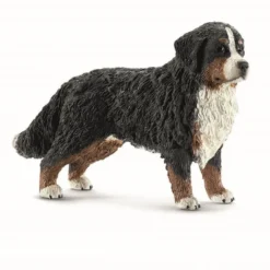 Dyr Berner Sennenhund
