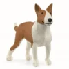 Dyr Bull Terrier