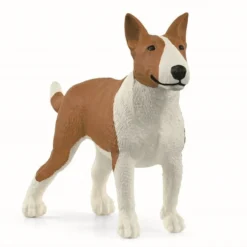 Dyr Bull Terrier