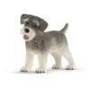 Dyr Dværgschnauzer