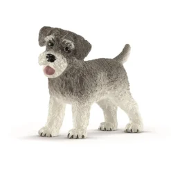Dyr Dværgschnauzer