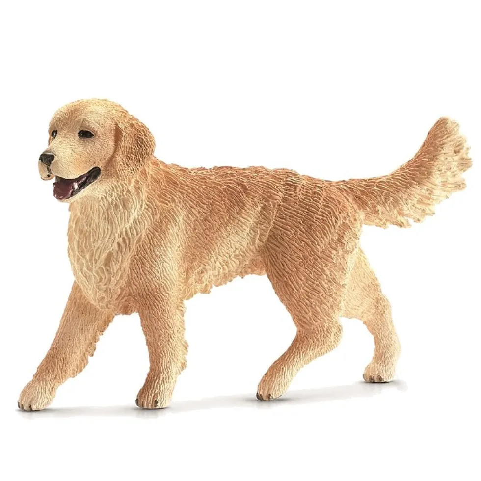 Dyr Golden Retriever