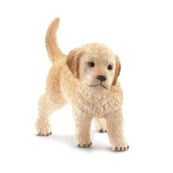 Dyr Golden Retriever Hvalp