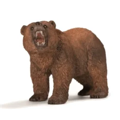Dyr Grizzly Bjørn