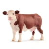 Dyr Hereford Ko