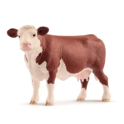 Dyr Hereford Ko