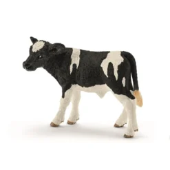 Dyr Holstein Kalv