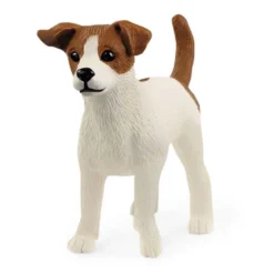 Dyr Jack Russell Terrier