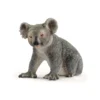 Dyr Koala