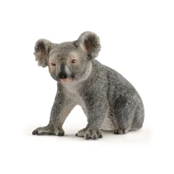 Dyr Koala