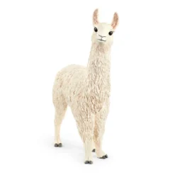 Dyr Lama