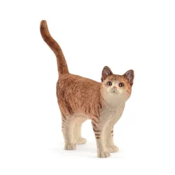 Dyr Rød Kat