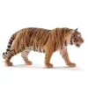 Dyr Tiger