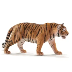 Dyr Tiger