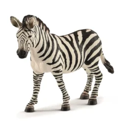 Dyr Zebra Hun