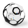 Fodbold Sort/Hvid