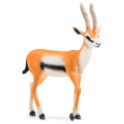 Gazelle