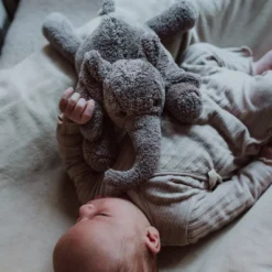 George Hjertelydsbamse Grå