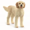 Goldendoodle