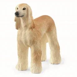 Greyhound