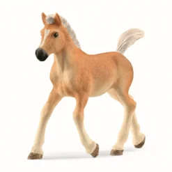 Haflinger Føl
