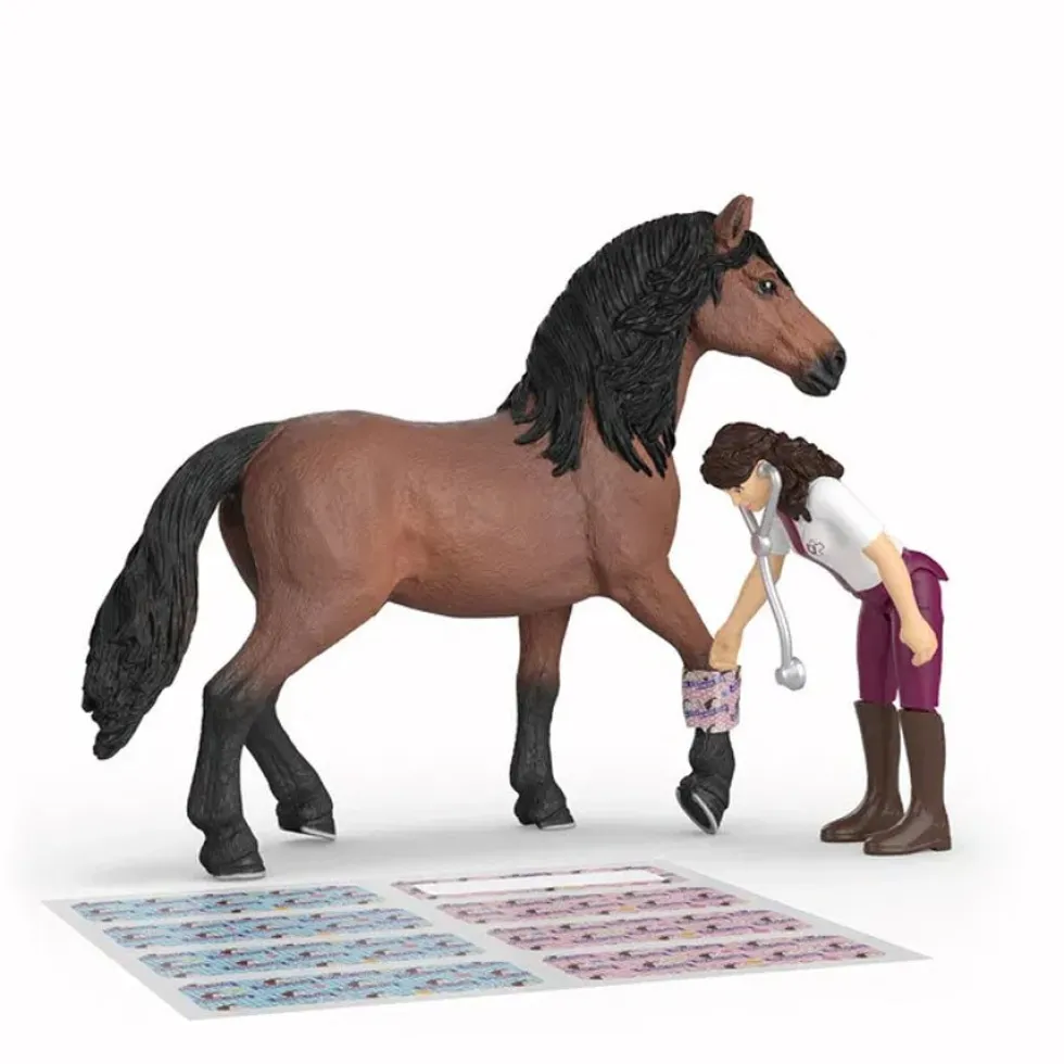 Happy Horse Hospital