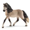 Hest Andaluserhoppe