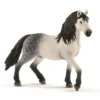 Hest Andalusisk Hingst