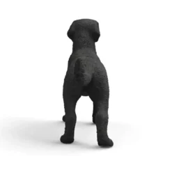 Hun Labrador Retriever i Sort